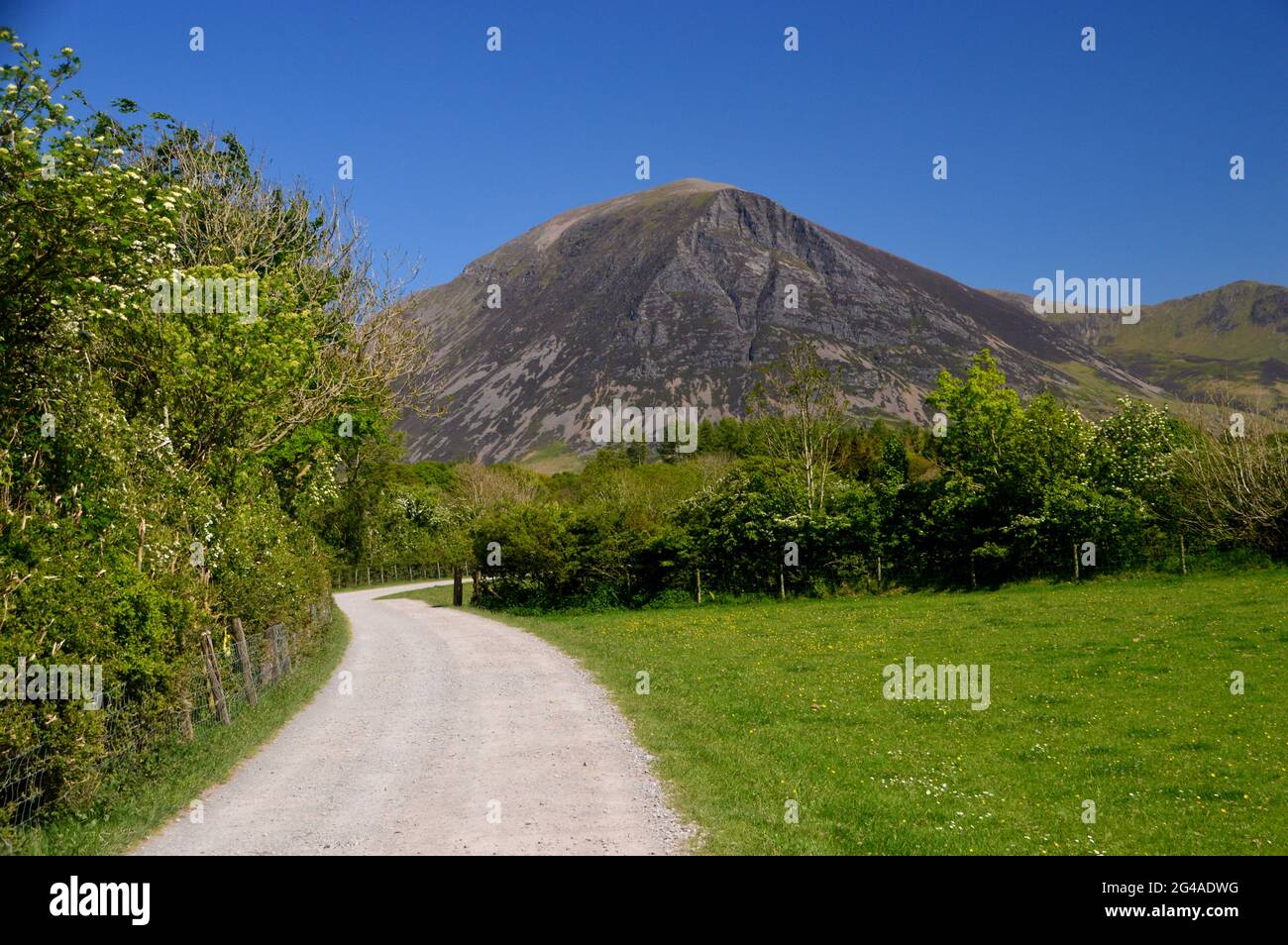 Le Grasmoor de Wainwright depuis le chemin jusqu'au parc automobile de Maggie's Bridge par le lac Loweswater près de Holme Wood dans le parc national de Lake District, Cumbria. Banque D'Images