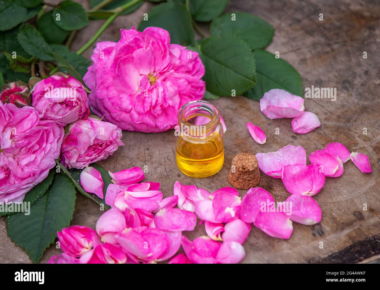 Gros plan de la bouteille d'huile essentielle de rose avec des feuilles tombant sur fond de bois. Banque D'Images