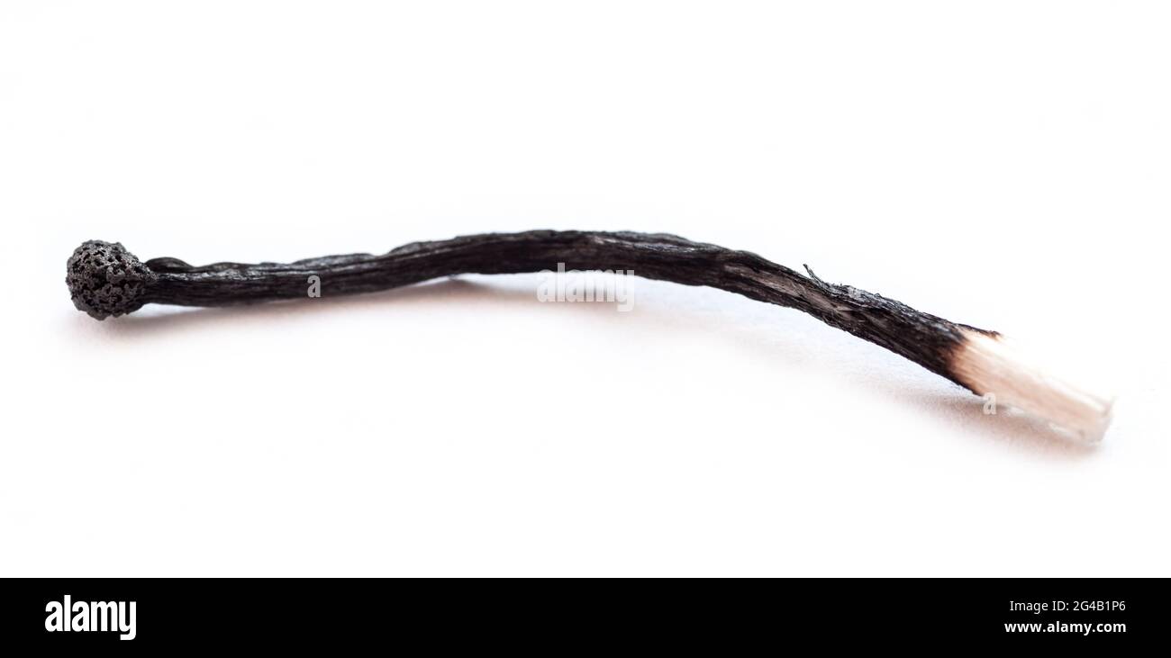 Utilisé sur le fond blanc. Banque D'Images