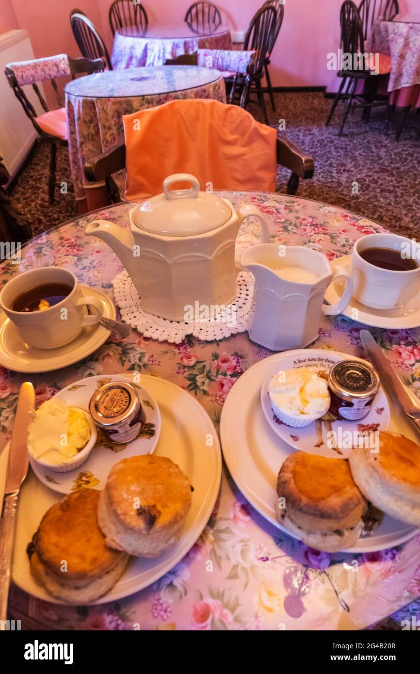 Angleterre, Île de Wight, Old Shanklin Village, le vieux tashop de chaume, thé anglais traditionnel et scones Banque D'Images