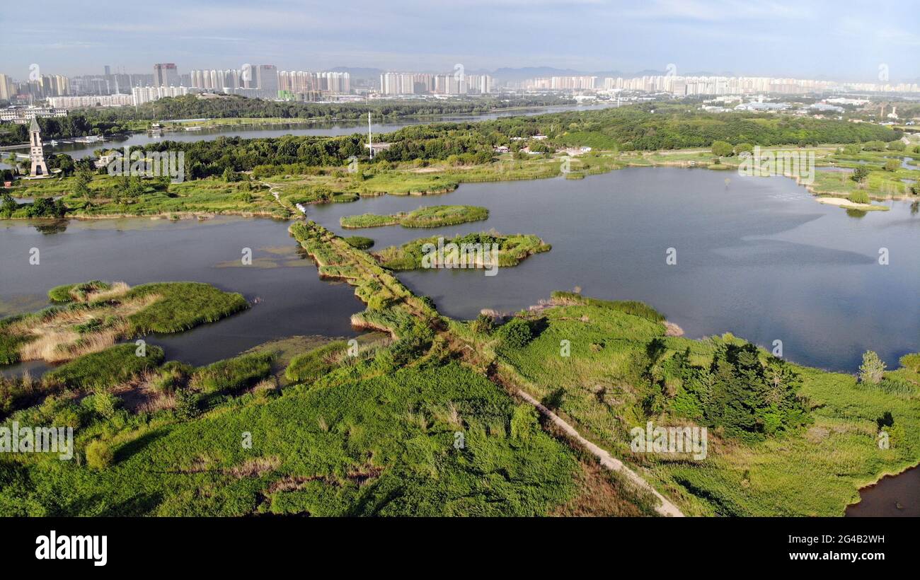 Shijiazhuang. 20 juin 2021. La photo aérienne prise le 20 juin 2021 montre le paysage de la rivière Hutuo à Shijiazhuang, dans la province de Hebei, au nord de la Chine. Crédit: Luo Xuefeng/Xinhua/Alamy Live News Banque D'Images