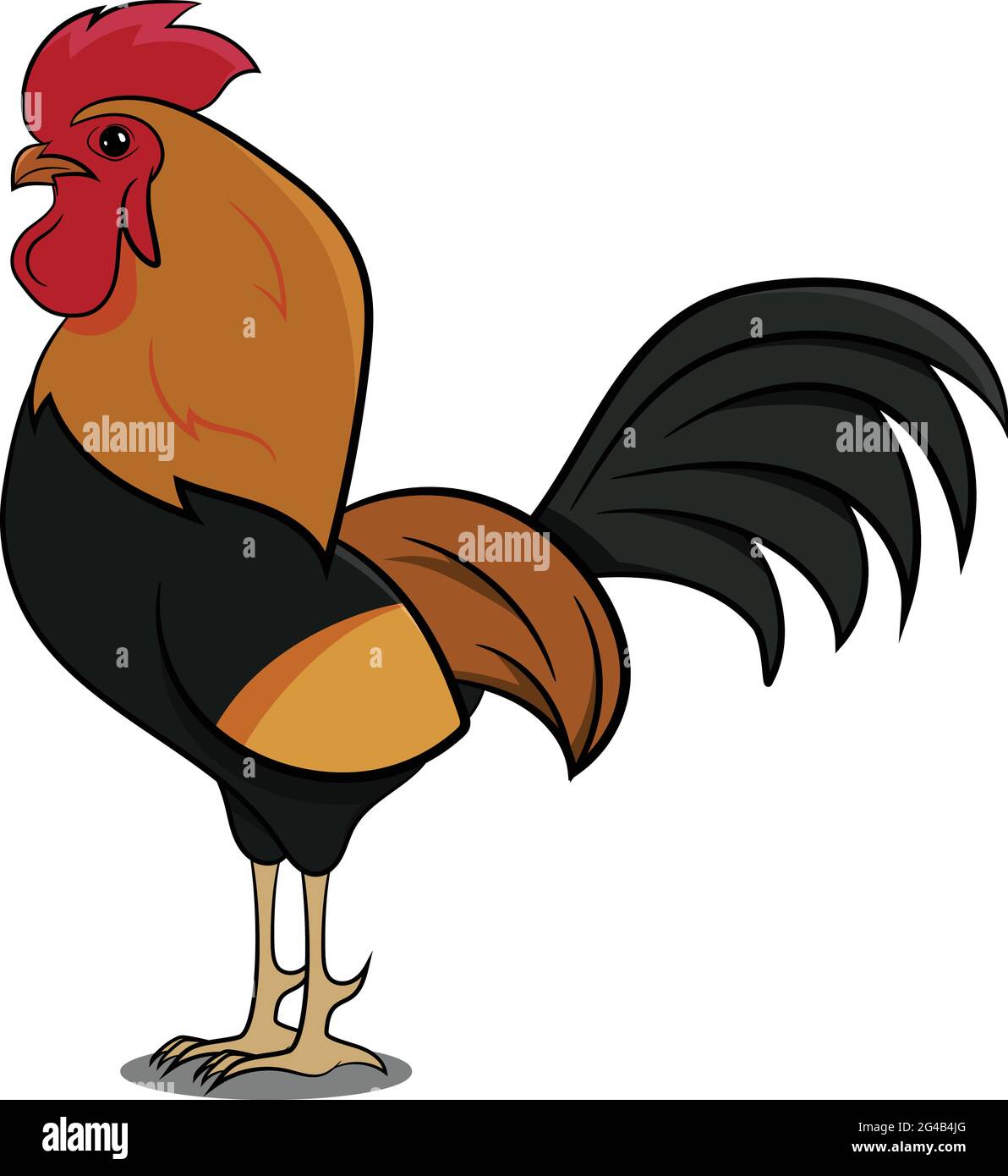 Poulet coq animaux de ferme. Oiseau de ferme. Oiseaux de différentes parties du monde. Oiseaux communs. Icône oiseau illustrations vectorielles Doodle isolé. Illustration de Vecteur