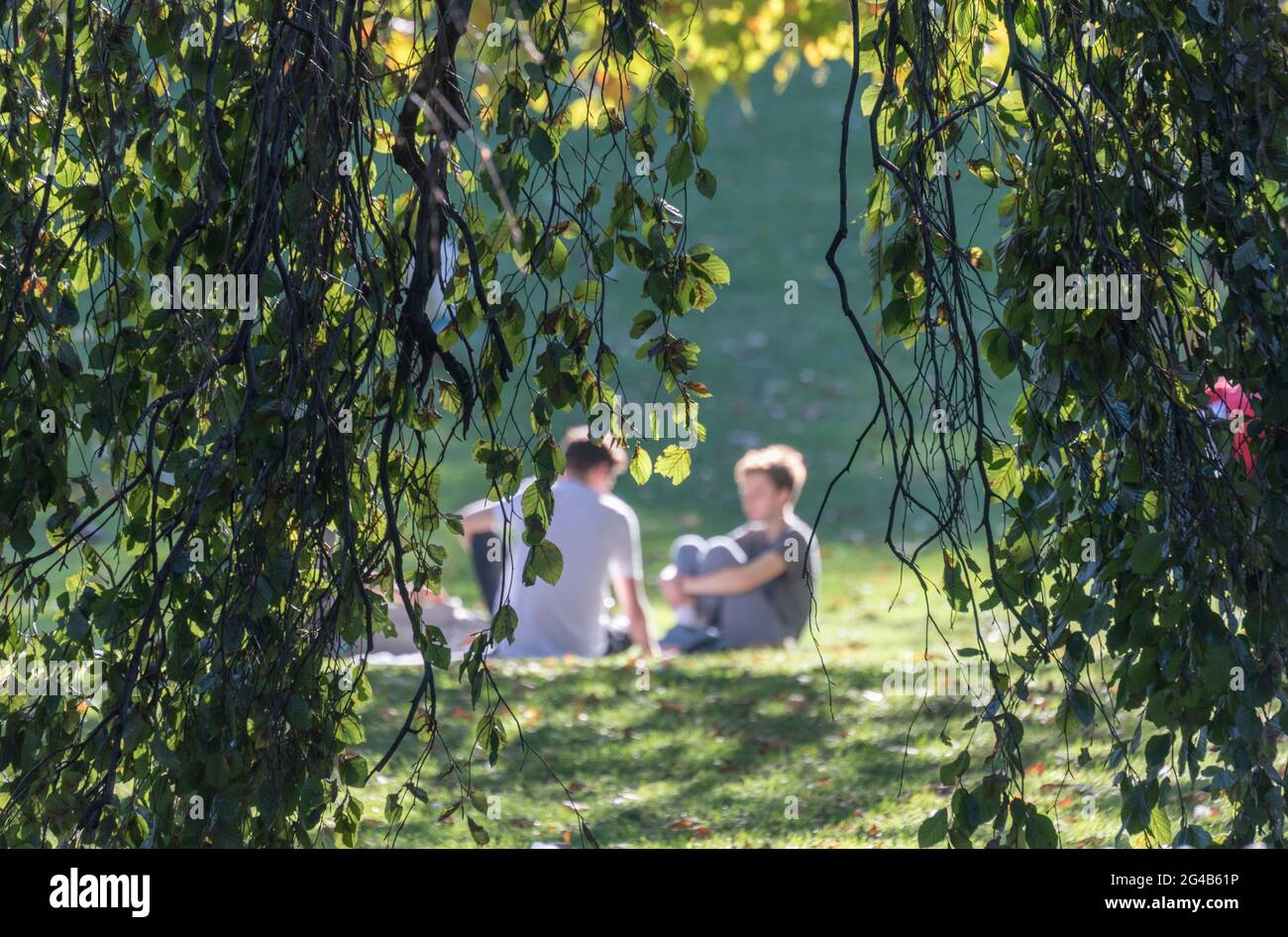 Boyds assis au soleil, St James's Park, Royal Parks, Londres, Angleterre, ROYAUME-UNI Banque D'Images