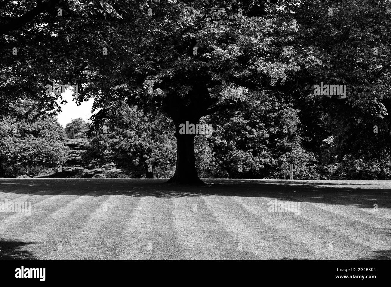 Photographies en noir et blanc d'une demeure ancestrale du Cheshire, Angleterre, Royaume-Uni Banque D'Images