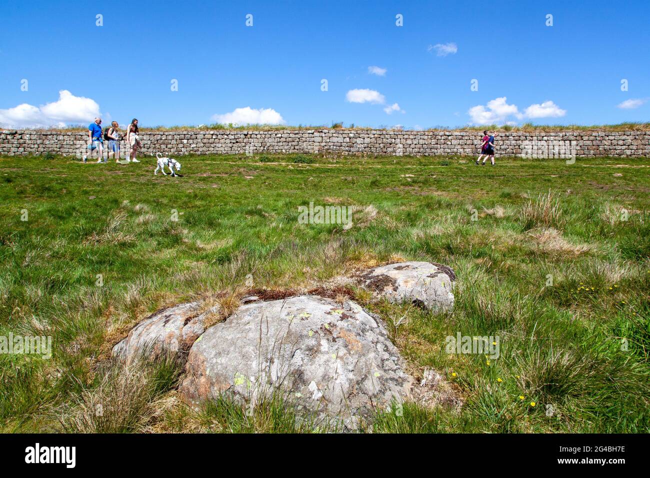 Les gens et les familles qui marchaient le long d'une section du gazon ont renversé le mur de clayton tout en marchant sur le sentier national longue distance du mur d'Hadrien Banque D'Images