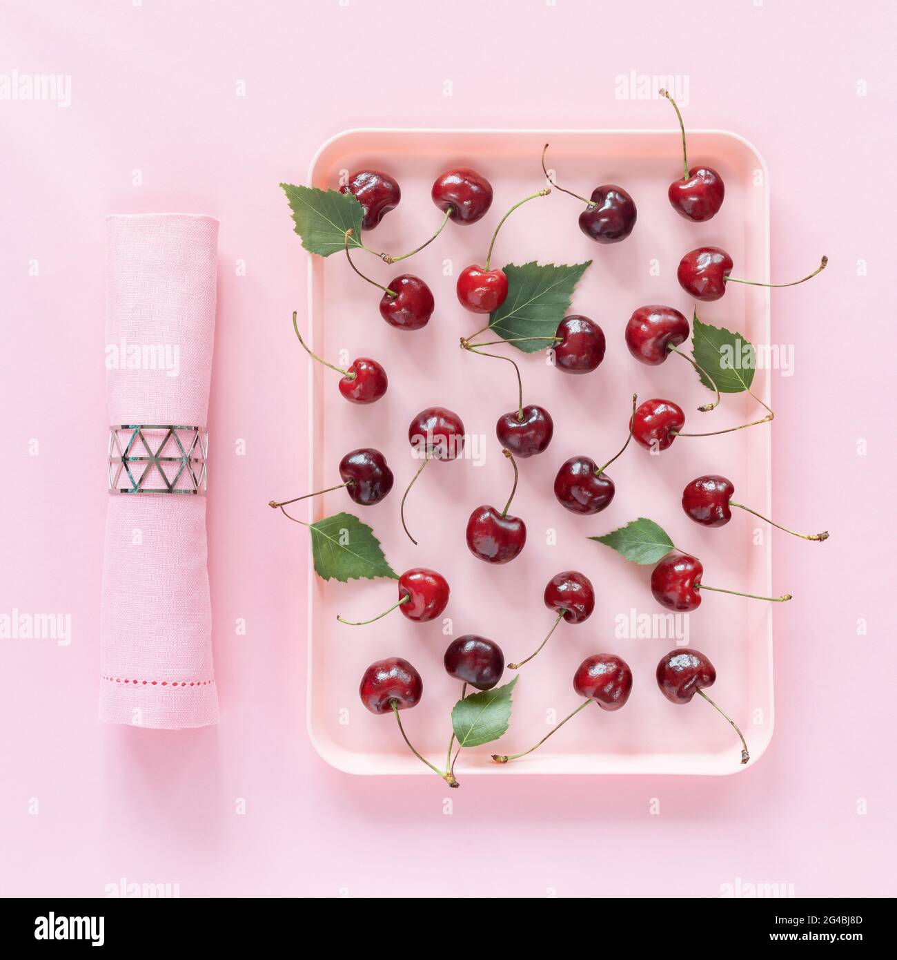 Temps de récolte, saison des cerises. Composition alimentaire d'été avec plateau en plastique avec naturel, ferme, cerises et serviette rose sur fond rose Banque D'Images