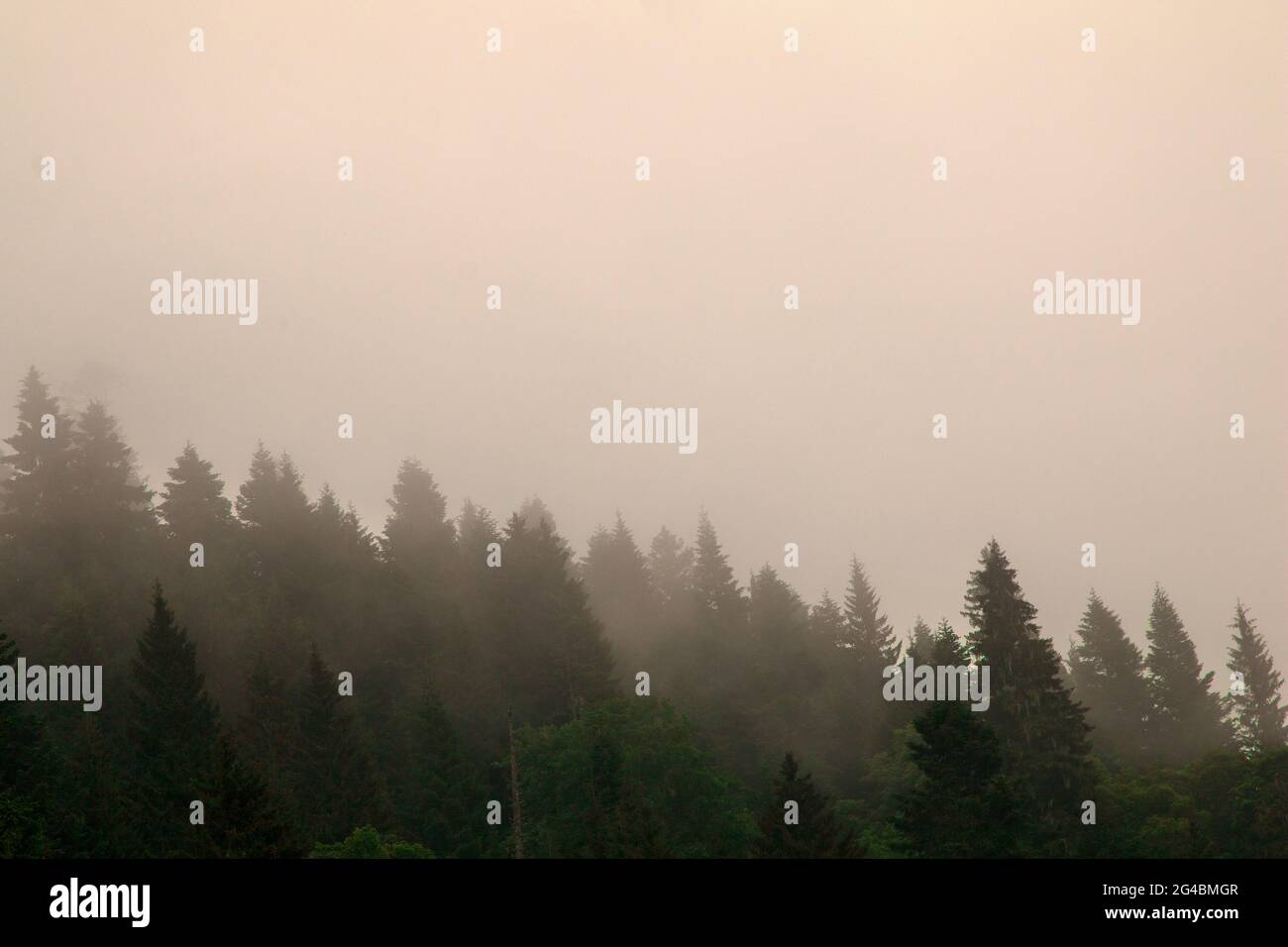 Bien au-dessus des montagnes Misty et de la forêt Banque D'Images