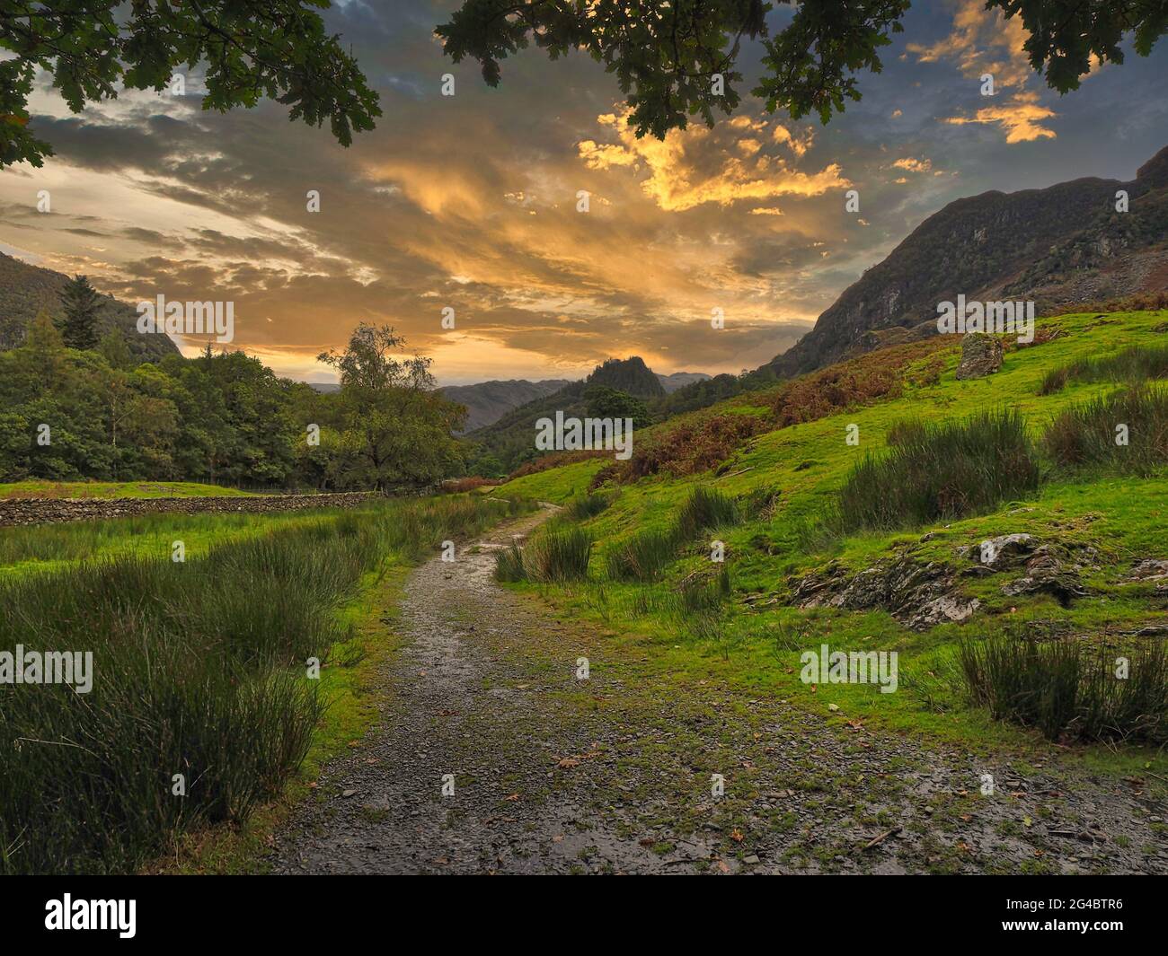 Une promenade en soirée à travers la vallée de Borrowdale dans le Lake District. Banque D'Images