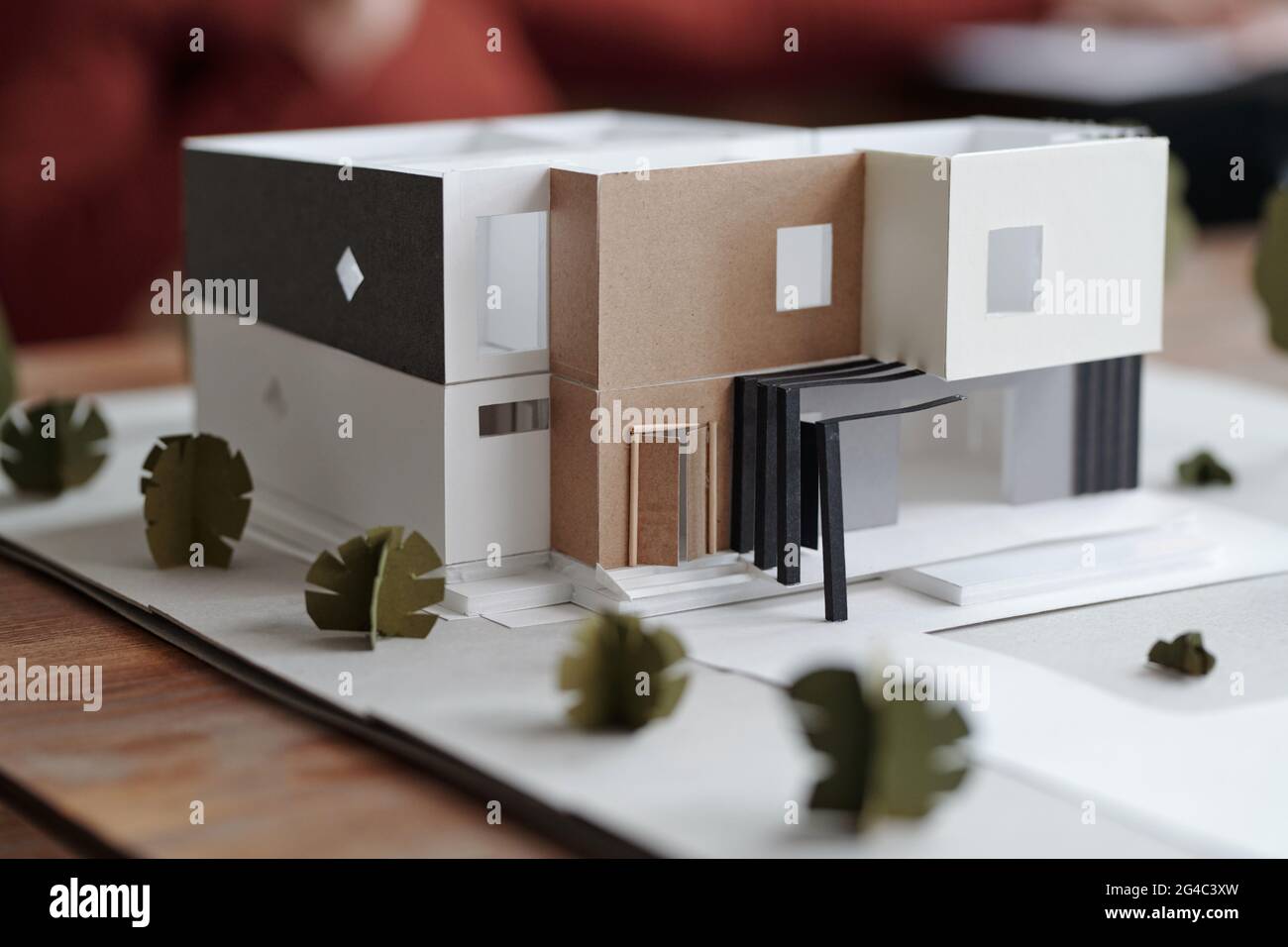 Gros plan de carton modèle 3D de maison contemporaine en noir et blanc se  tenant entre des buissons en carton Photo Stock - Alamy