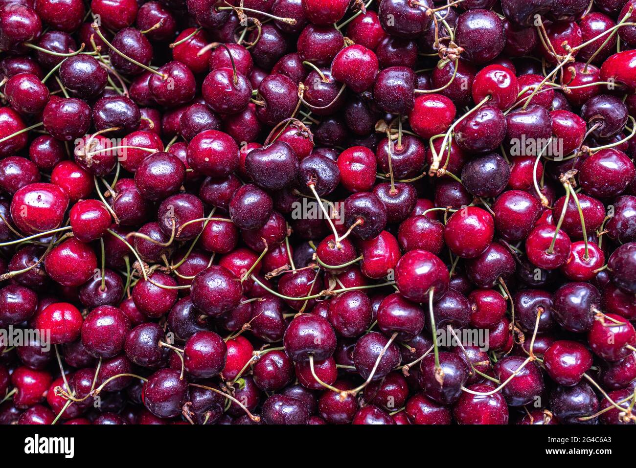 contexte d'un bouquet de cerises fraîches de l'agriculture écologique dans une boîte Banque D'Images