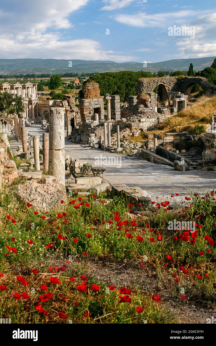 Ruines de la ville romaine d'Éphèse au printemps avec des coquelicots rouges, Turquie Banque D'Images