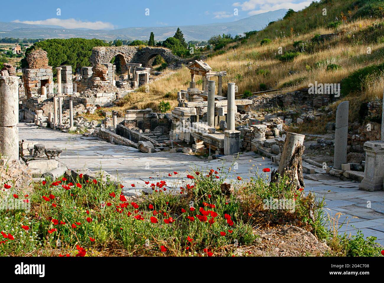 Ruines de la ville romaine d'Éphèse au printemps avec des coquelicots rouges, Turquie Banque D'Images