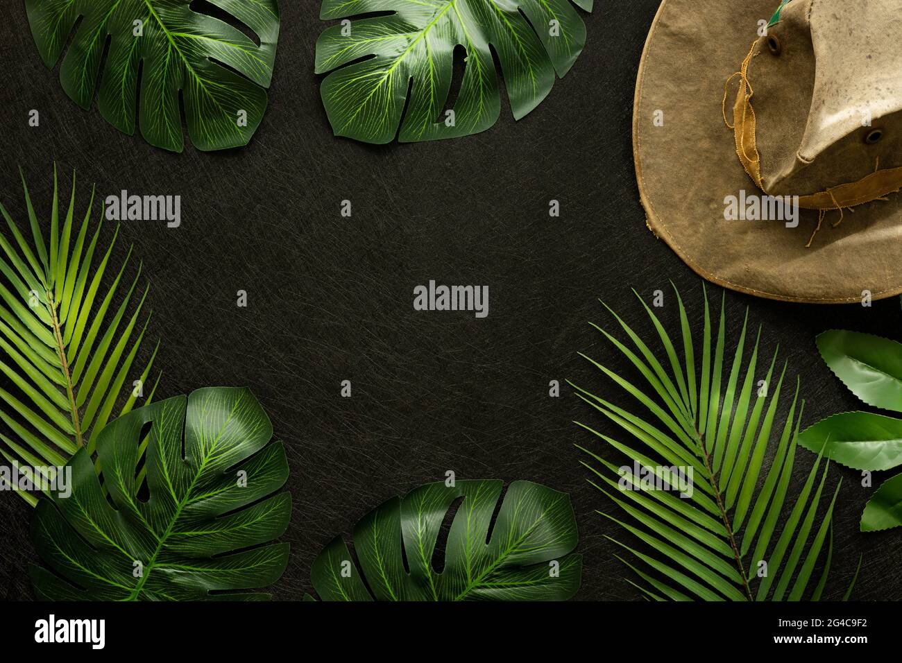 Big Tropical Jungle Leaves, Old Travel Hat, Creative concept, Round the World Travel, Discovery Expedition, minimal Layout, Black Background, Space FO Banque D'Images