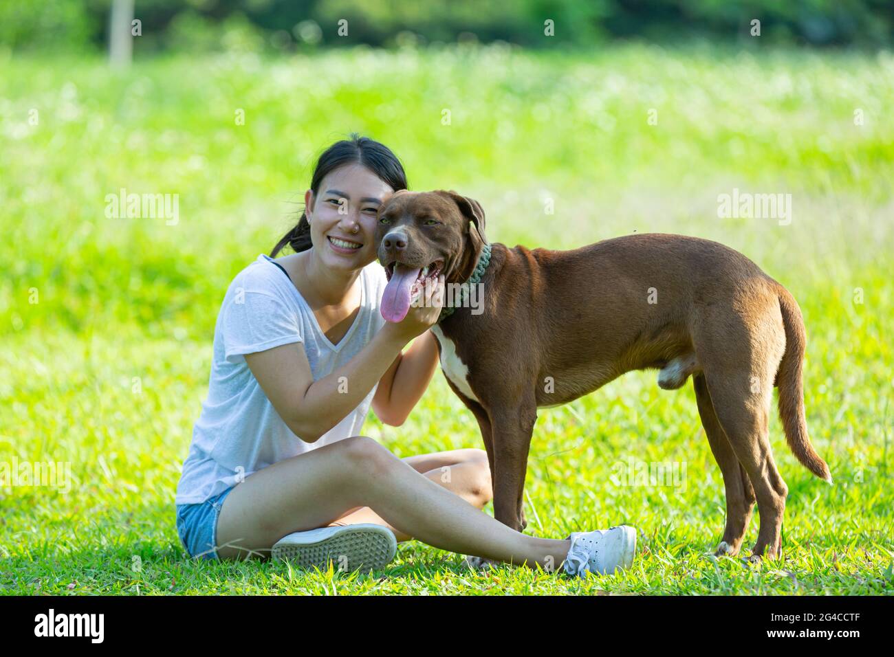 Bonne femme appréciant son chien préféré dans le parc. Banque D'Images