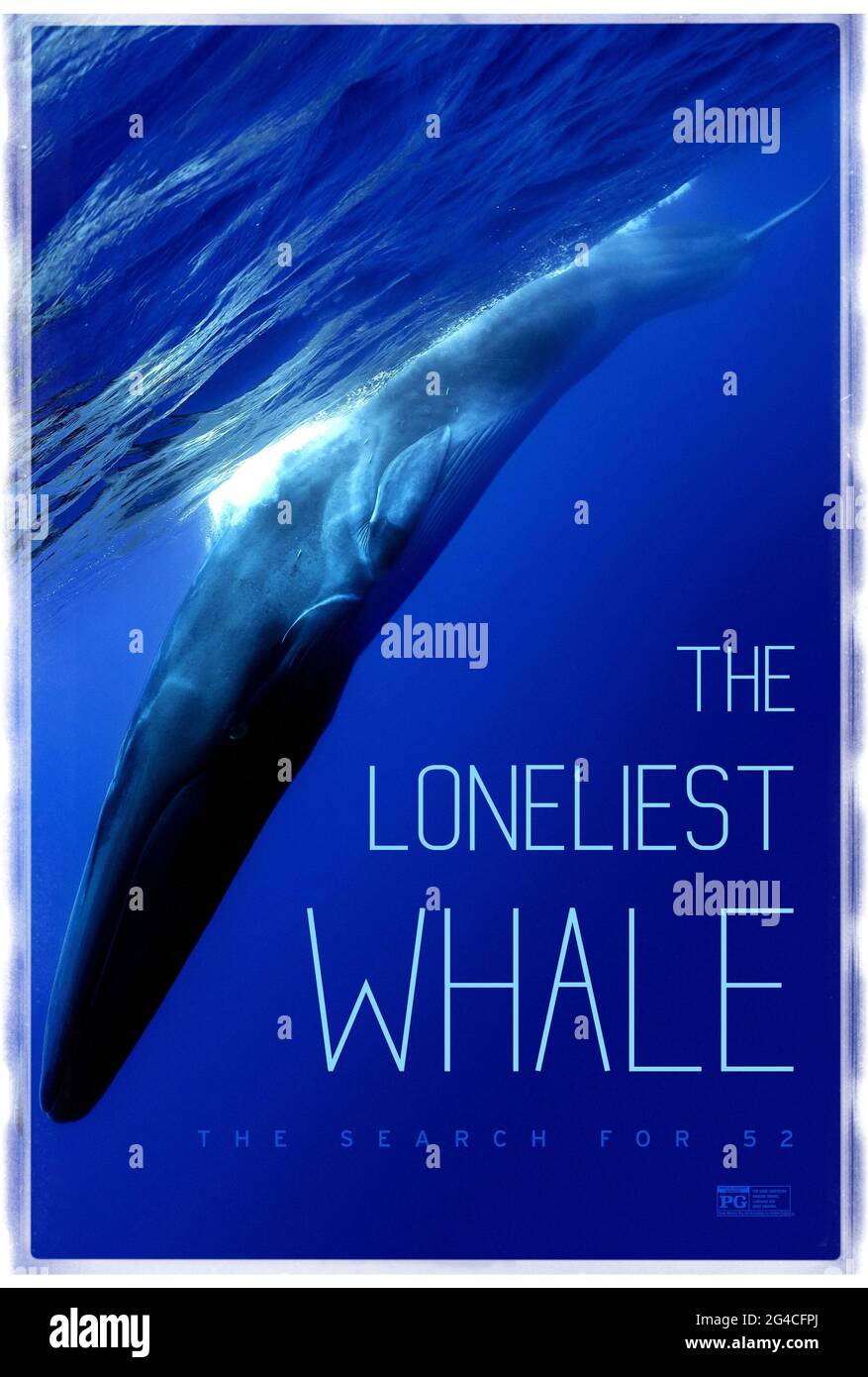 The Loneliest Whale: The Search for 52 (2021) réalisé par Joshua Zeman. Documentaire sur une baleine solitaire faisant état à 52 Hz d'une fréquence inentendue par d'autres baleines. Banque D'Images