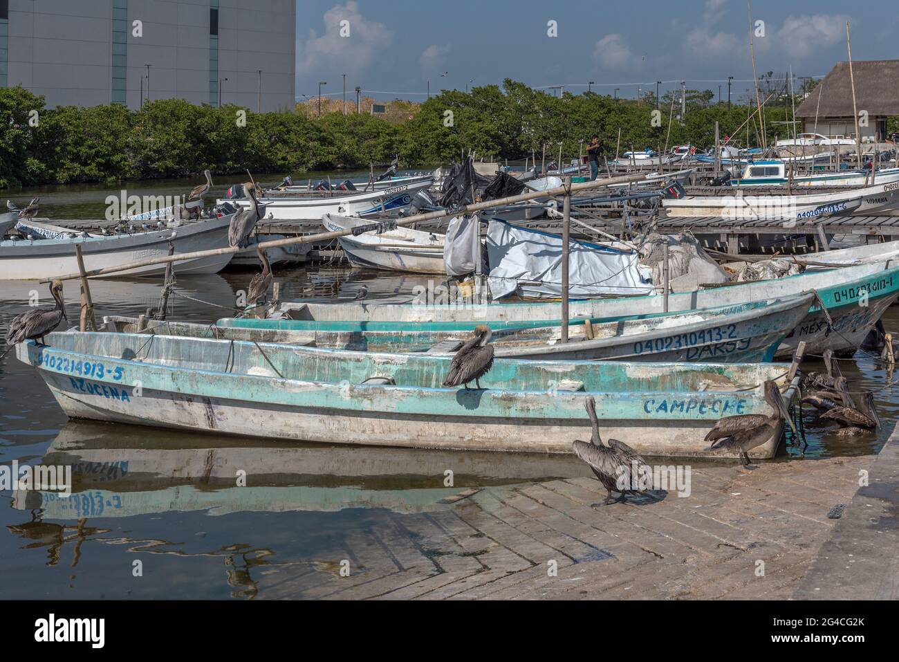 Bateaux de pêche dans le quai de San Francisco, Campeche, Mexique Banque D'Images