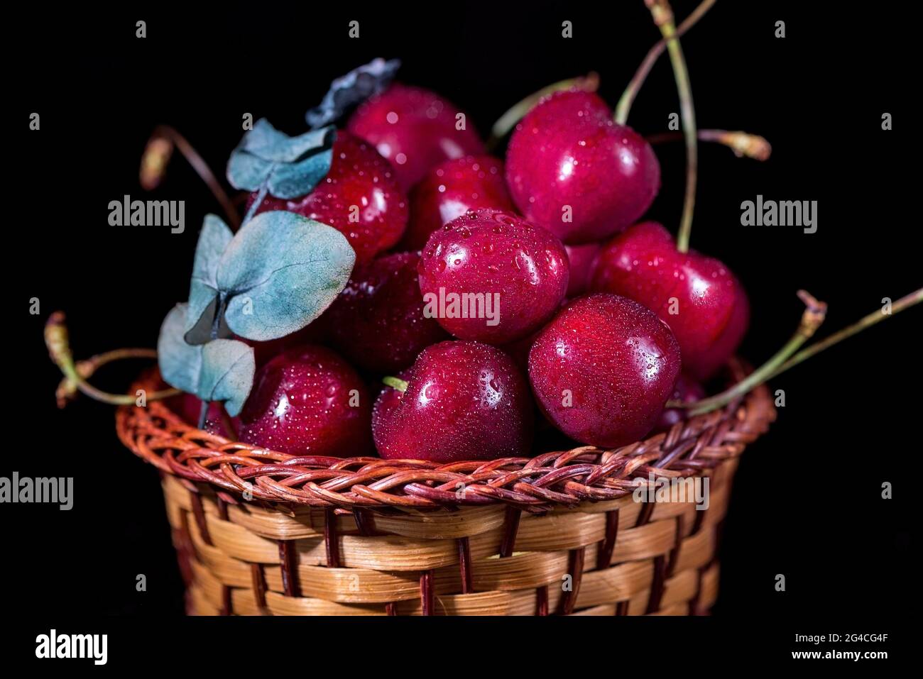 Un panier de fruits de cerise avec feuille d'eucalyptus sur fond de noir, gros plan, isolé Banque D'Images