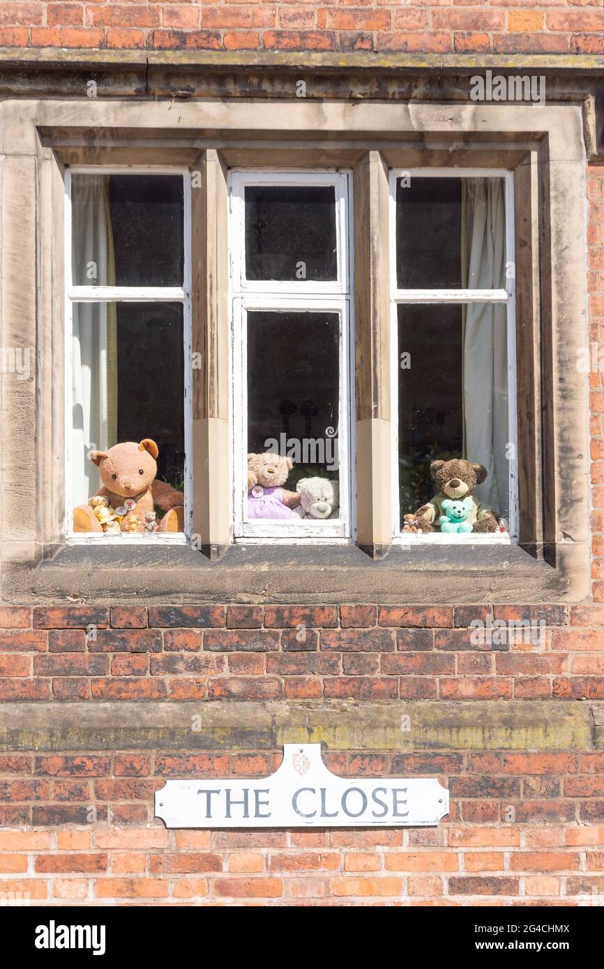 Ours en peluche dans les fenêtres de la maison, The Close, Lichfield, Staffordshire, Angleterre, Royaume-Uni Banque D'Images