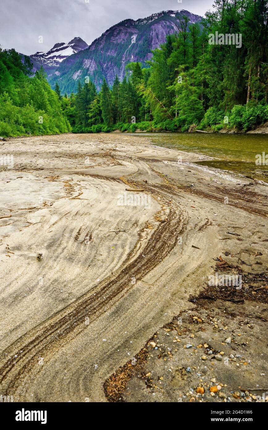 Rive le long de la vallée de la rivière Kingcome dans le territoire Musgmagw Dzawada'enuwx, territoire des Premières nations, Colombie-Britannique, Canada Banque D'Images