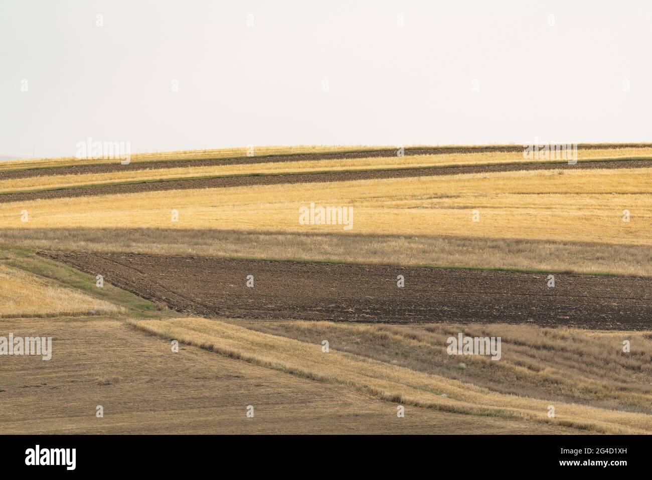 Champs de ferme cultivés dans les contreforts Banque D'Images