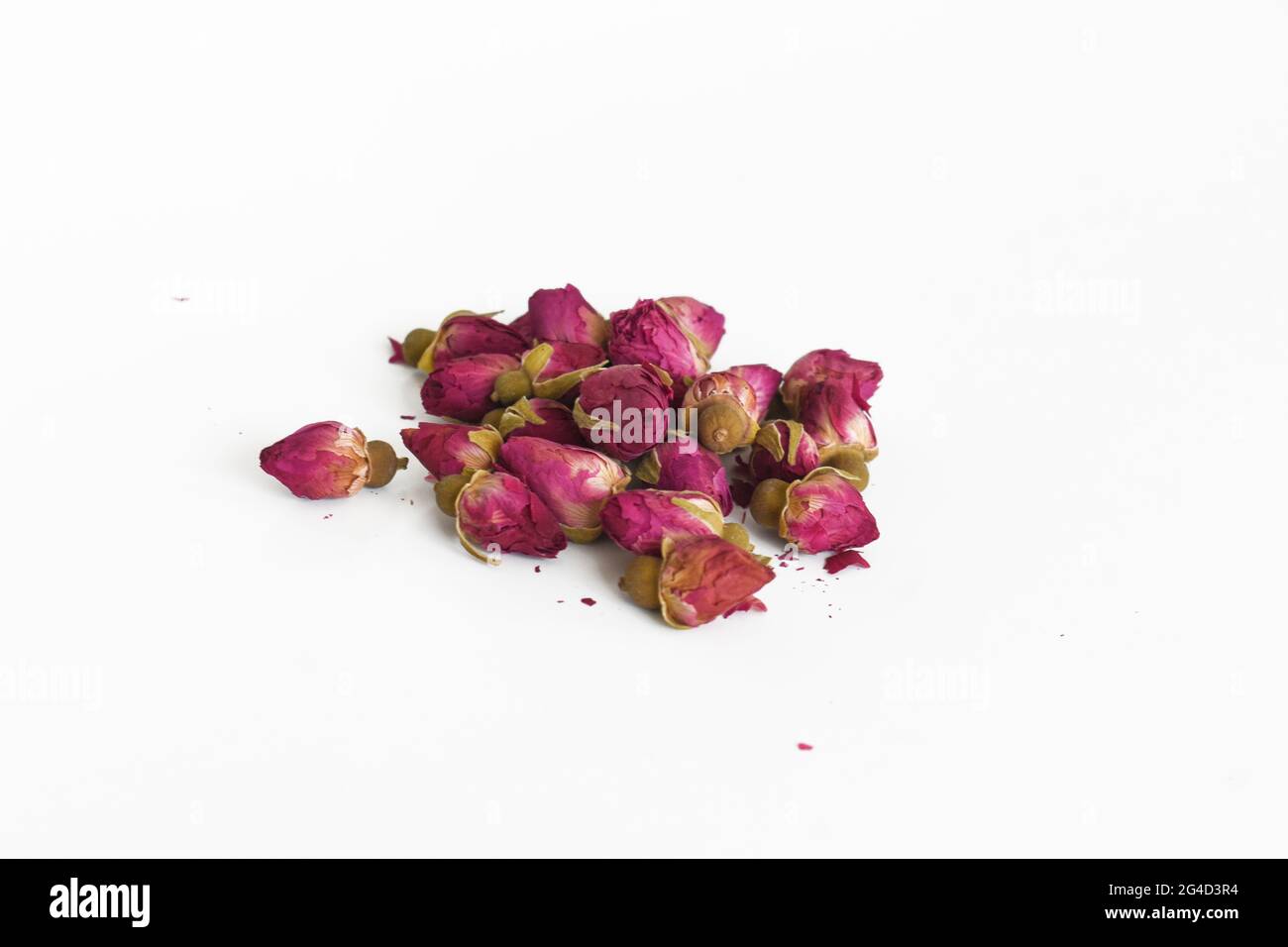 Boutons roses séchés sur fond blanc isolé Banque D'Images