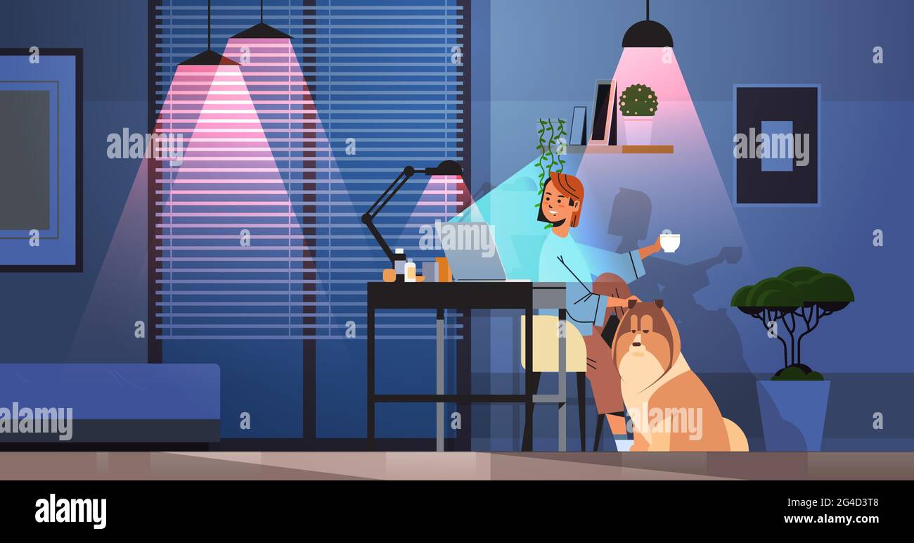 femme d'affaires indépendante regardant l'écran d'ordinateur portable femme assise sur le lieu de travail près de chien dans la nuit sombre chambre Illustration de Vecteur