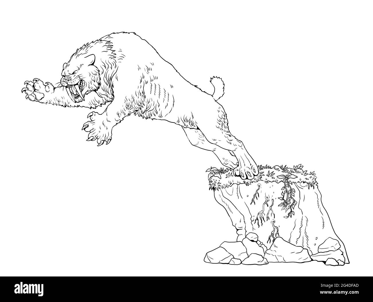 Sabre chat dent à la chasse. Illustration des animaux. Attaque de chat à dents de sabre. Livre de coloriage. Banque D'Images