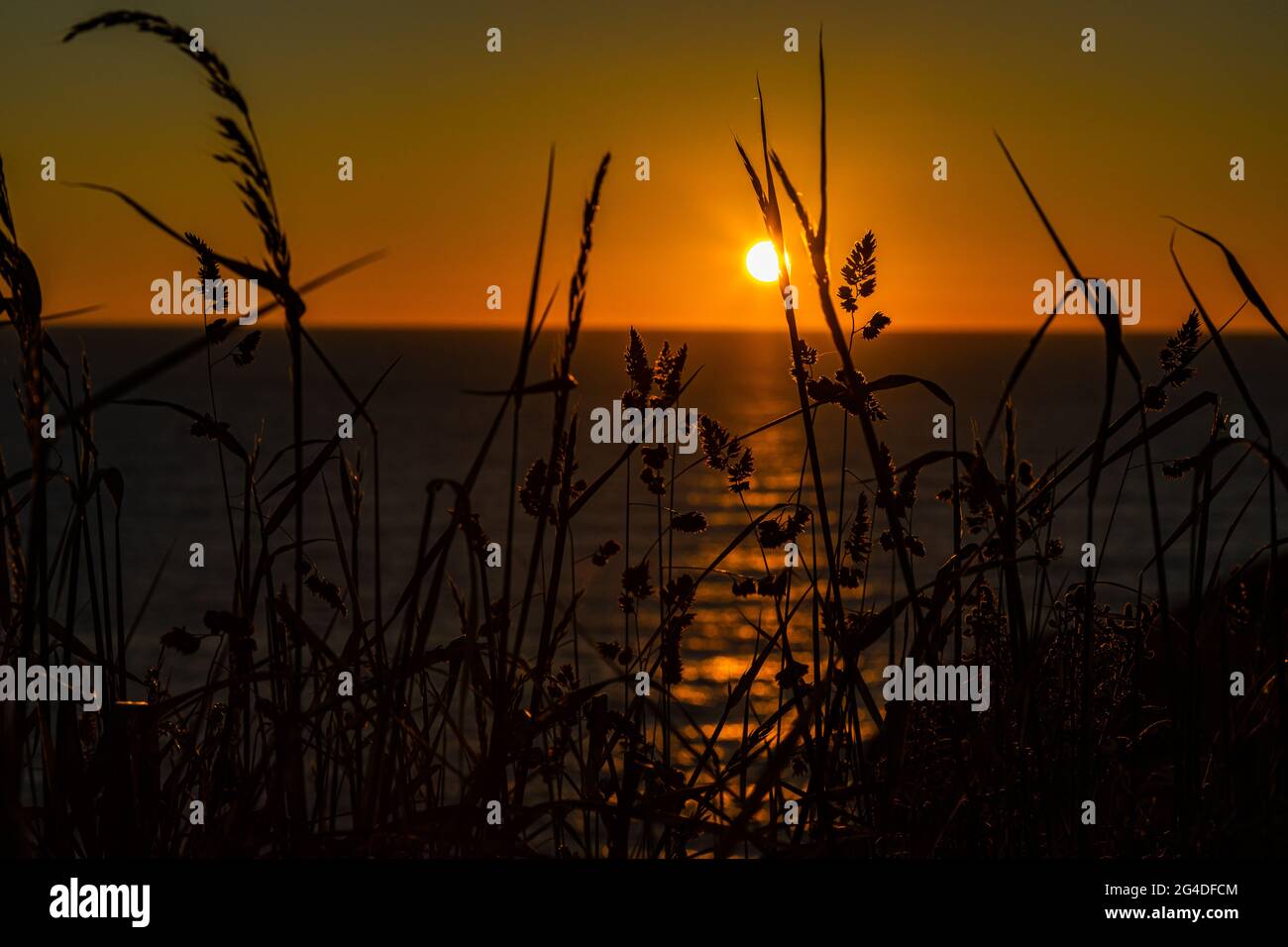 Magnifique coucher de soleil d'été à l'heure d'or avec vue sur la mer et les lieux lointains, Tintagel Cornouailles Angleterre Royaume-Uni Banque D'Images Magnifique coucher de soleil d'été à l'heure d'or avec vue sur la mer et les lieux lointains, Tintagel Cornouailles Angleterre Royaume-Uni Banque D'Images