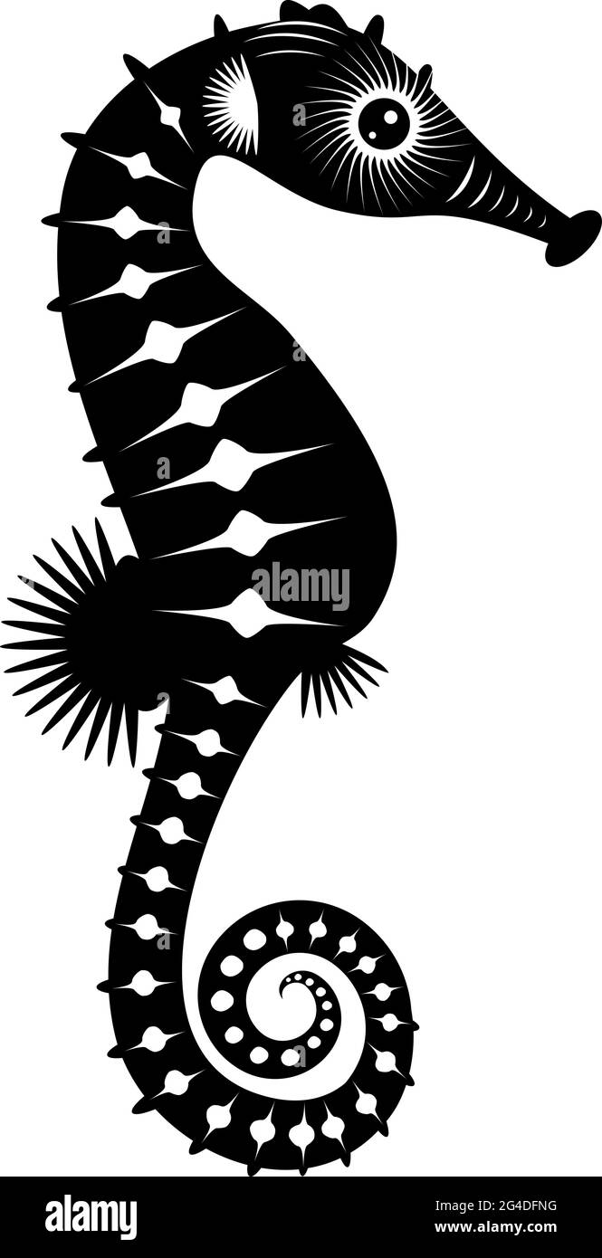 Cheval de mer. Poisson tropical noir et blanc. Isolé sur blanc. Monde sous-marin Illustration de Vecteur