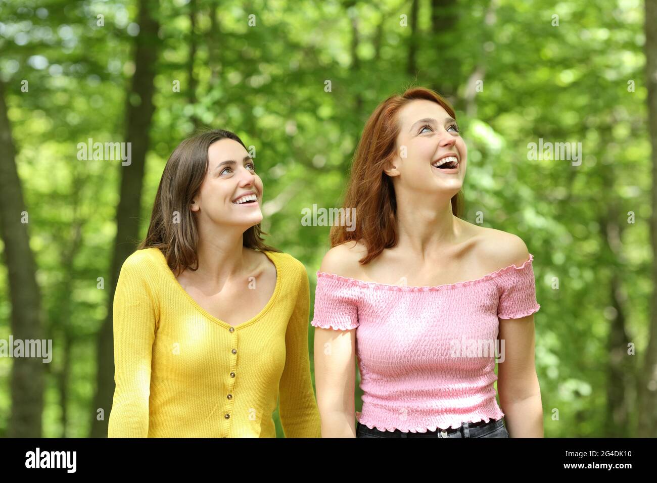 Deux amis étonnés contemplant des vues à pied dans une forêt l'été Banque D'Images