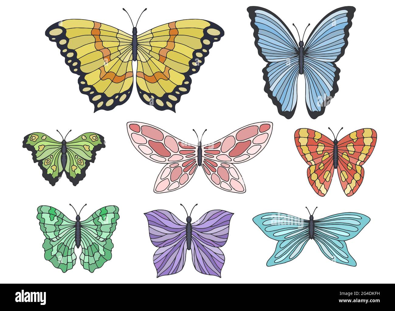 Ensemble de papillons couleur graphique vecteur d'illustration d'esquisse isolé Illustration de Vecteur