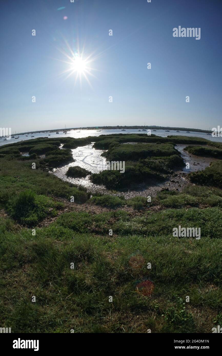 Essex Mud Flats Banque D'Images
