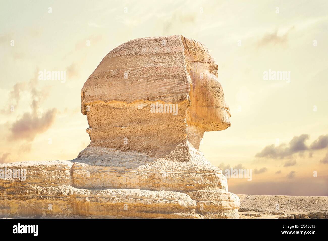 Portrait de Sphinx Egypte. Portrait du Grand Sphinx d'Égypte proche. Égypte, Giza. Vue latérale Banque D'Images