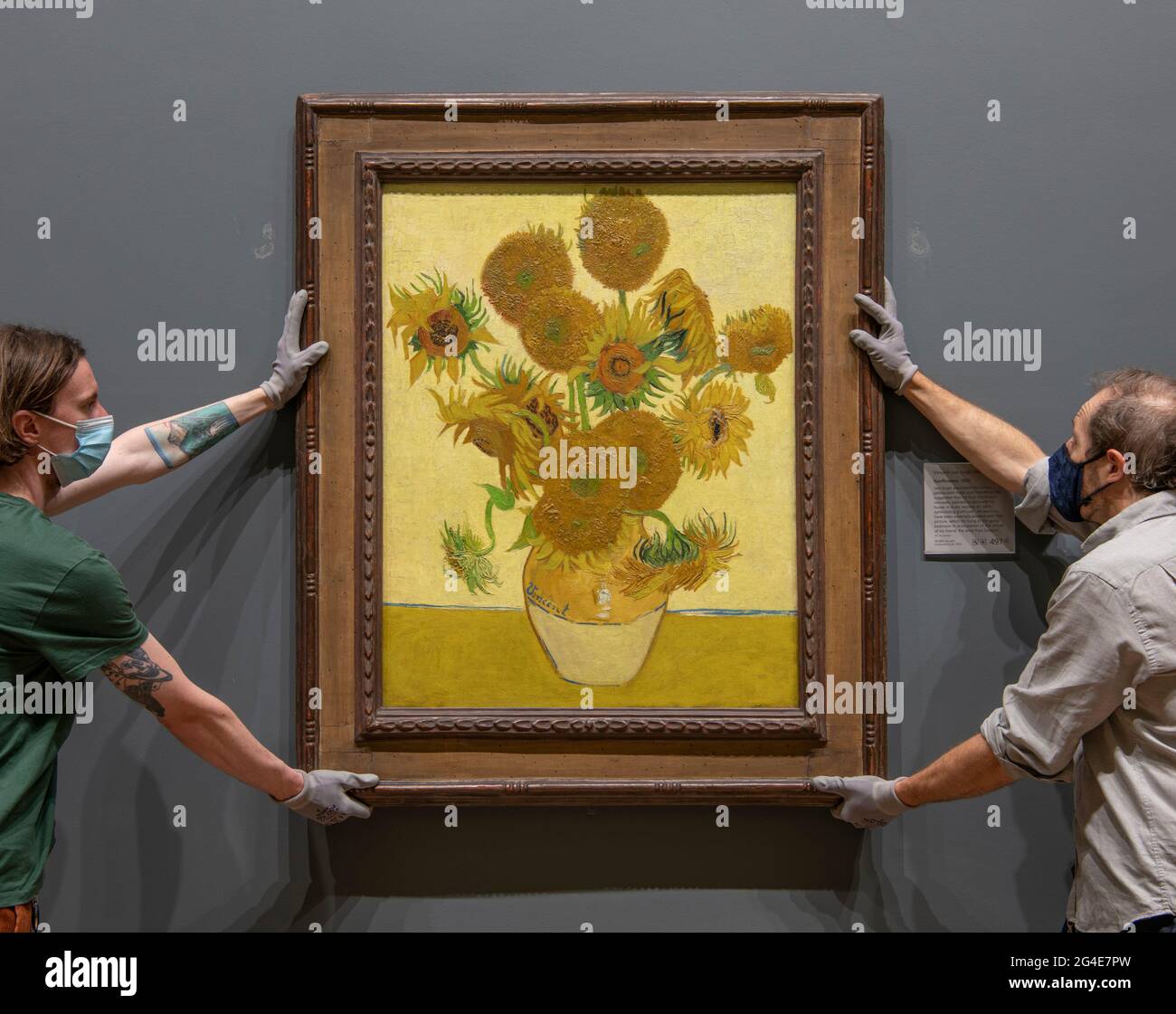 The National Gallery, Londres, Royaume-Uni. 21 juin 2021. Les manutentionnaires d'art de la Galerie nationale penchent les tournesols de Vincent van Gogh, peints en 1888, tôt le lundi matin 21 juin, le solstice d'été, avant l'ouverture de la Galerie. Le chef-d'œuvre de Van Gogh est venu à la galerie après avoir fait une tournée mondiale de 16 mois au Japon et en Australie. Crédit : Malcolm Park/Alay Live News. Banque D'Images