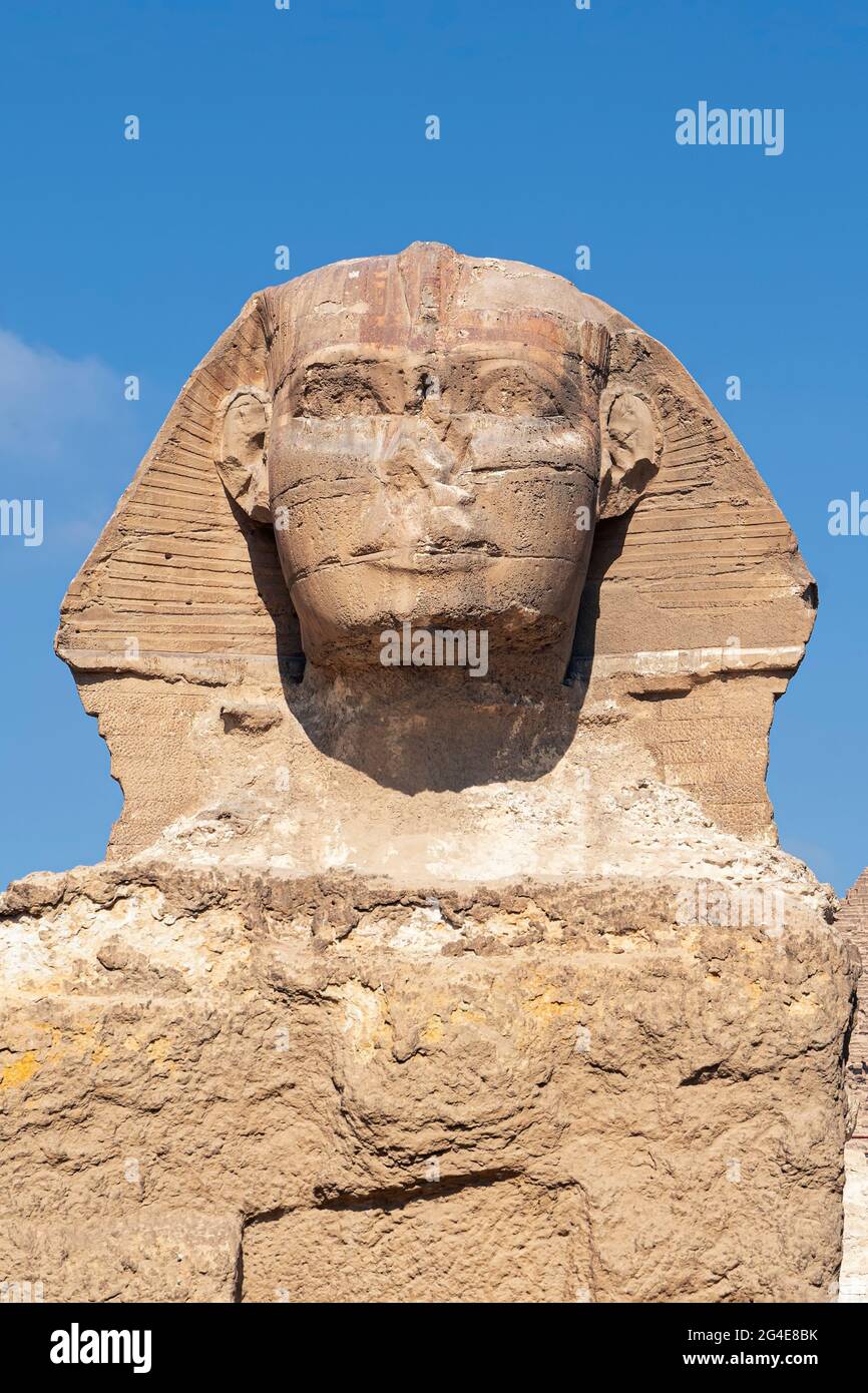 Portrait de Sphinx Egypte. Portrait du Grand Sphinx d'Égypte proche. Égypte, Giza. Photo verticale Banque D'Images