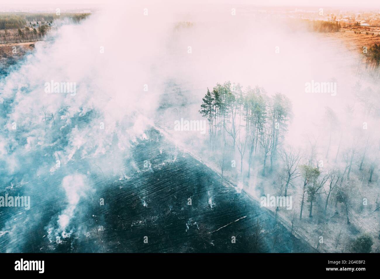 Vue aérienne. L'herbe sèche du printemps brûle pendant la sécheresse temps chaud. Feu et fumée de Bush dans la forêt. Le feu sauvage détruit l'herbe. Nature en danger Banque D'Images