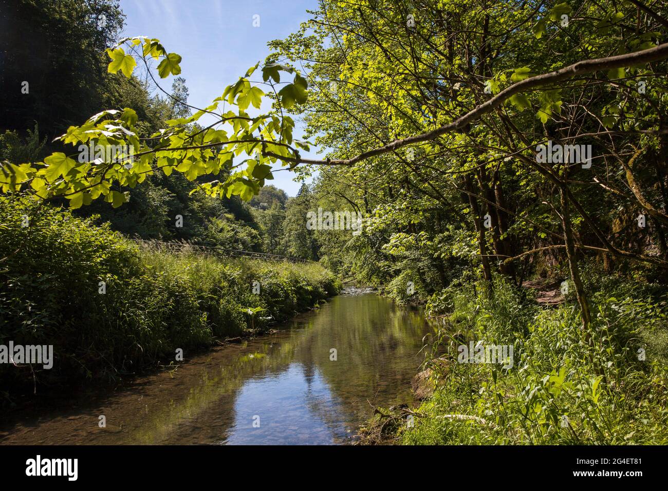 La rivière Hoenne entre Hemer et Balve, la vallée de Hoenne, la région de la Sauerland, Rhénanie-du-Nord-Westphalie, Allemagne. Die Hoenne zwischen Hemer und Balve, Hoen Banque D'Images