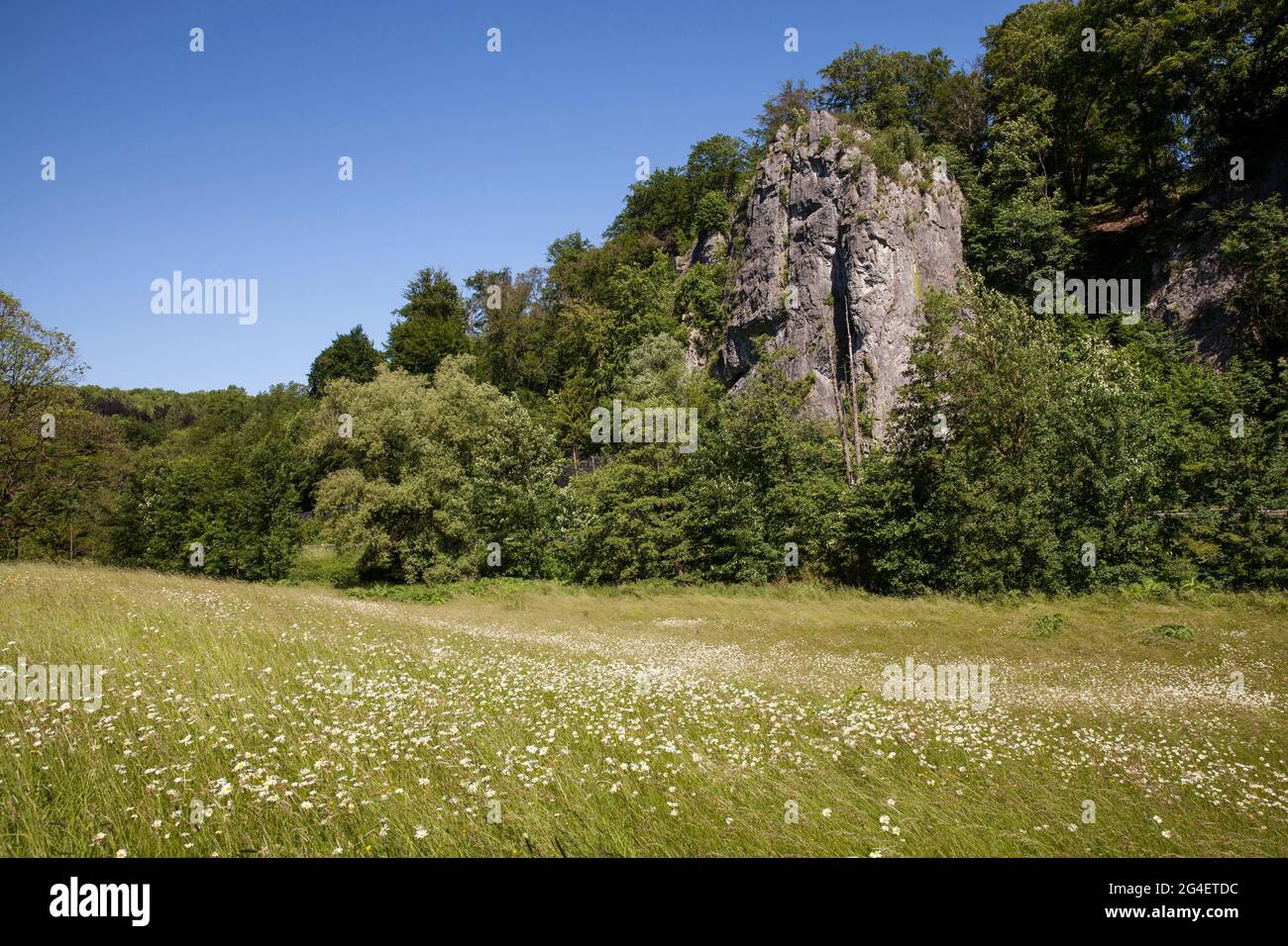 La formation rocheuse de sept Virgins (vue partielle) dans la vallée de Hoenne entre Hemer et Balve, région des pays aigre, Rhénanie-du-Nord-Westphalie, Allemagne Banque D'Images