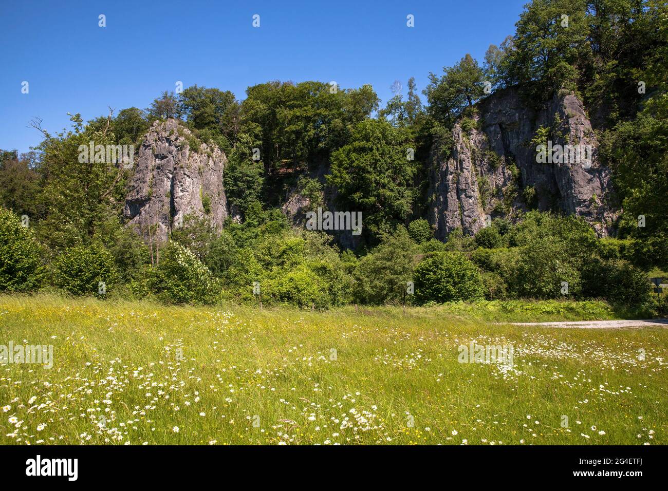 La formation rocheuse de sept Virgins (vue partielle) dans la vallée de Hoenne entre Hemer et Balve, région des pays aigre, Rhénanie-du-Nord-Westphalie, Allemagne Banque D'Images