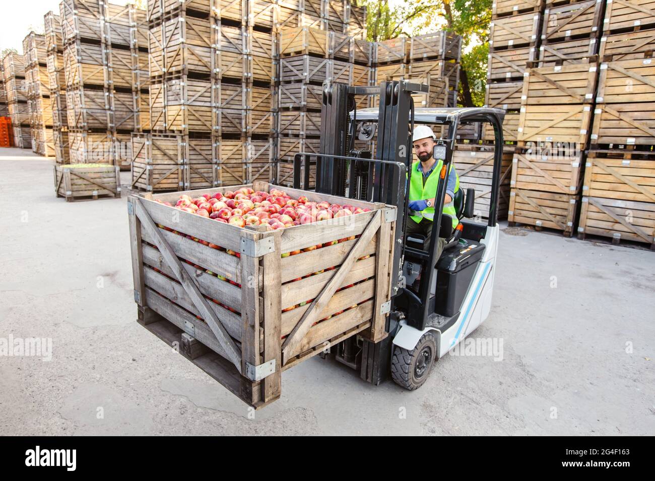 Distribution, ventes, production, agro-industrie agricole en entrepôt Banque D'Images