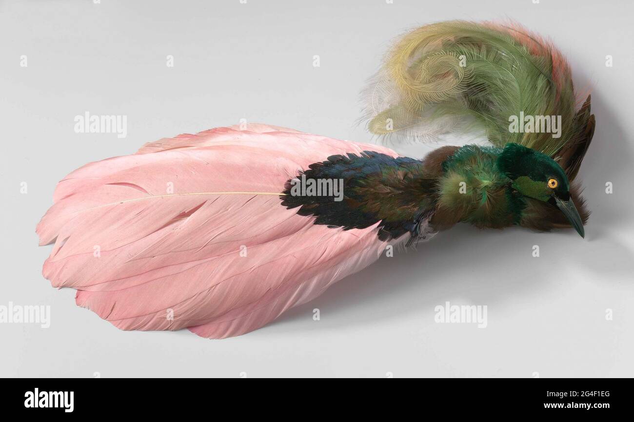 Plumes de chapeau composées de la tête farcie d'un oiseau paradisiaque (?),  plumes de l'oiseau-colibris et autres oiseaux tropicaux. Une tête d'oiseau  verte est fixée sur des plumes de queue vertes,