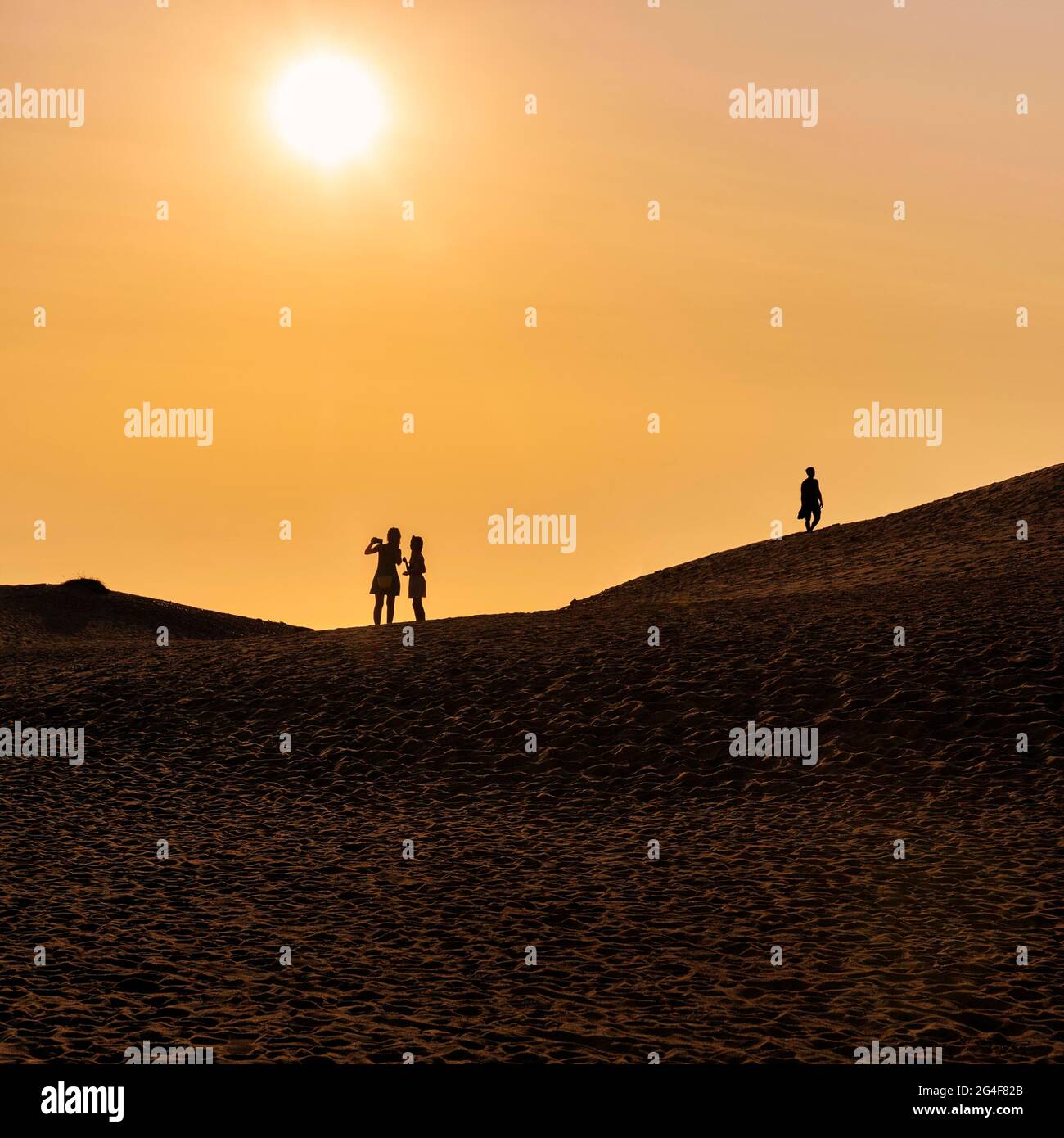 Trois personnes sur une dune, deux femmes prenant le selfie, homme marchant, silhouettes au coucher du soleil, Nordjylland, Jutland du Nord, Danemark Banque D'Images