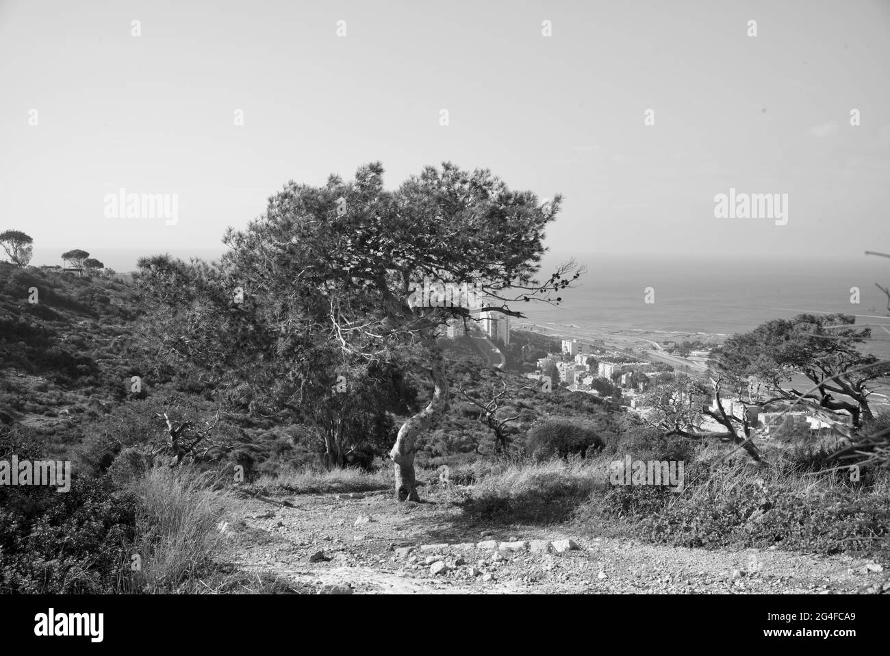 Stella Maris View, Haïfa, Israël Banque D'Images