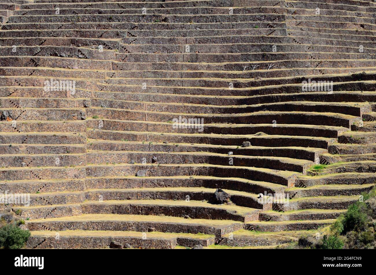Terrasses fortifiées dans les ruines Inca, détail, Pisac, région de Cusco, province d'Urubamba, Pérou Banque D'Images