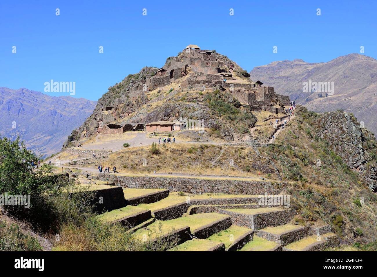 Terrasses fortifiées dans le complexe Inca Ruin, Pisac, région de Cusco, province d'Urubamba, Pérou Banque D'Images