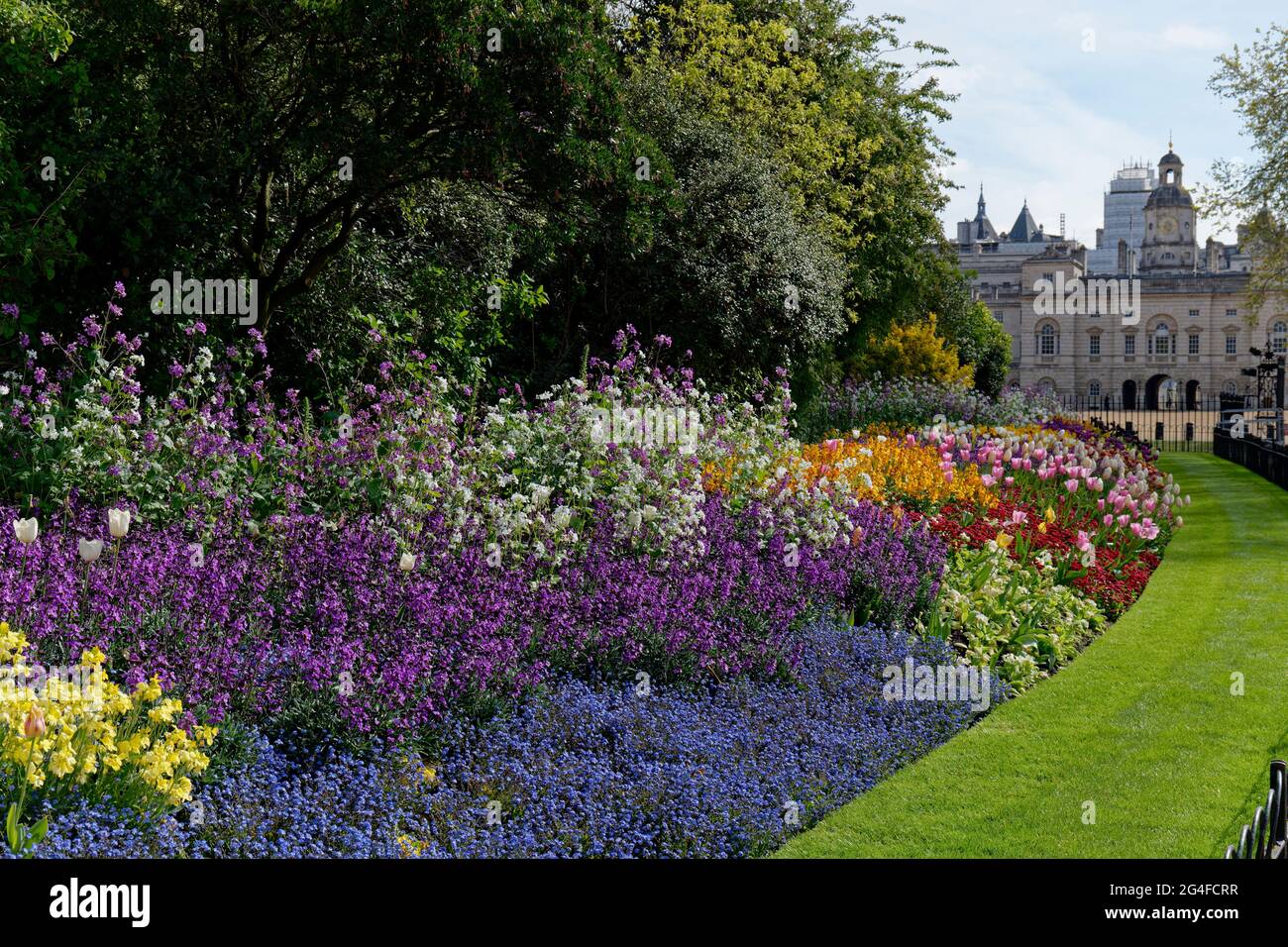 Les impressionnantes fleurs printanières bordent le parc St James's à côté de Horse Guards Parade Westminster, Londres Banque D'Images