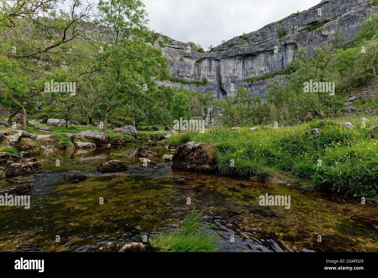 Malham Cove est un magnifique et très populaire joyau pittoresque dans le parc national de Yorkshire Dales en Angleterre Banque D'Images