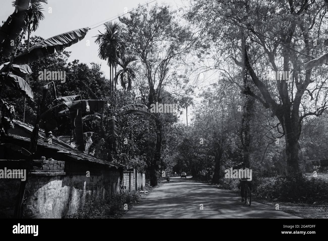 HOWRAH, BENGALE-OCCIDENTAL, INDE - 24 FÉVRIER 2018 : UNE route de village avec des arbres et des maisons de deux côtés et une personne passant par un vélo. Banque D'Images