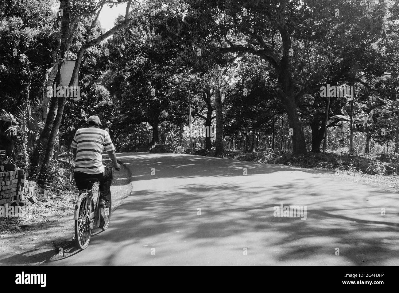 Une route de village ensoleillée avec des arbres des deux côtés et une personne passant sur un vélo. Image en noir et blanc. Banque D'Images