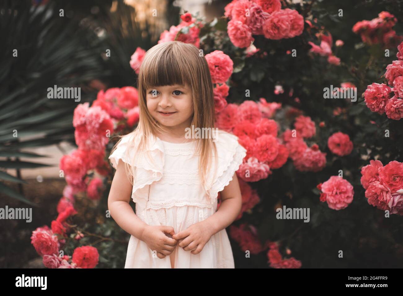 Sourire mignon enfant fille 3-4 ans porter robe élégante posant avec fleur  de buisson de fleurs roses dans la ville rue à l'extérieur. Un tout petit  tout-petit à la hauteur Photo Stock -